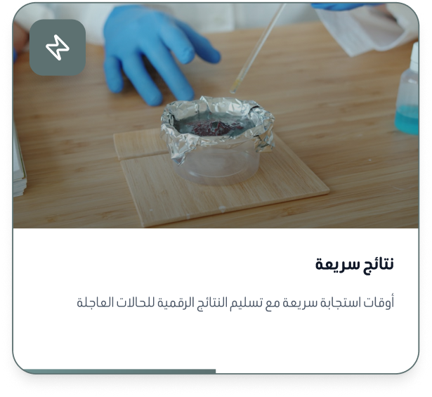 container 2026 04 16t172501.370